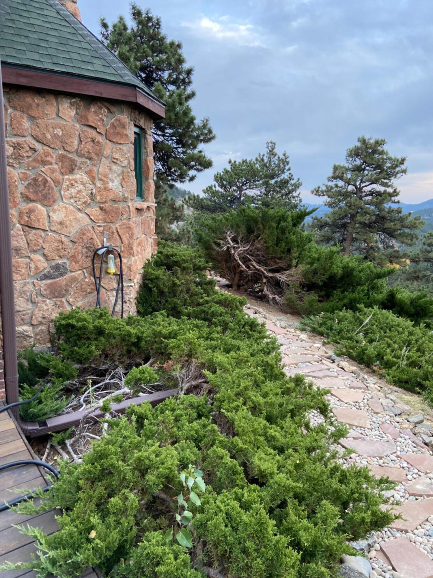 Colorado Bed & Breakfast With Beautiful Views 에버그린 외부 사진