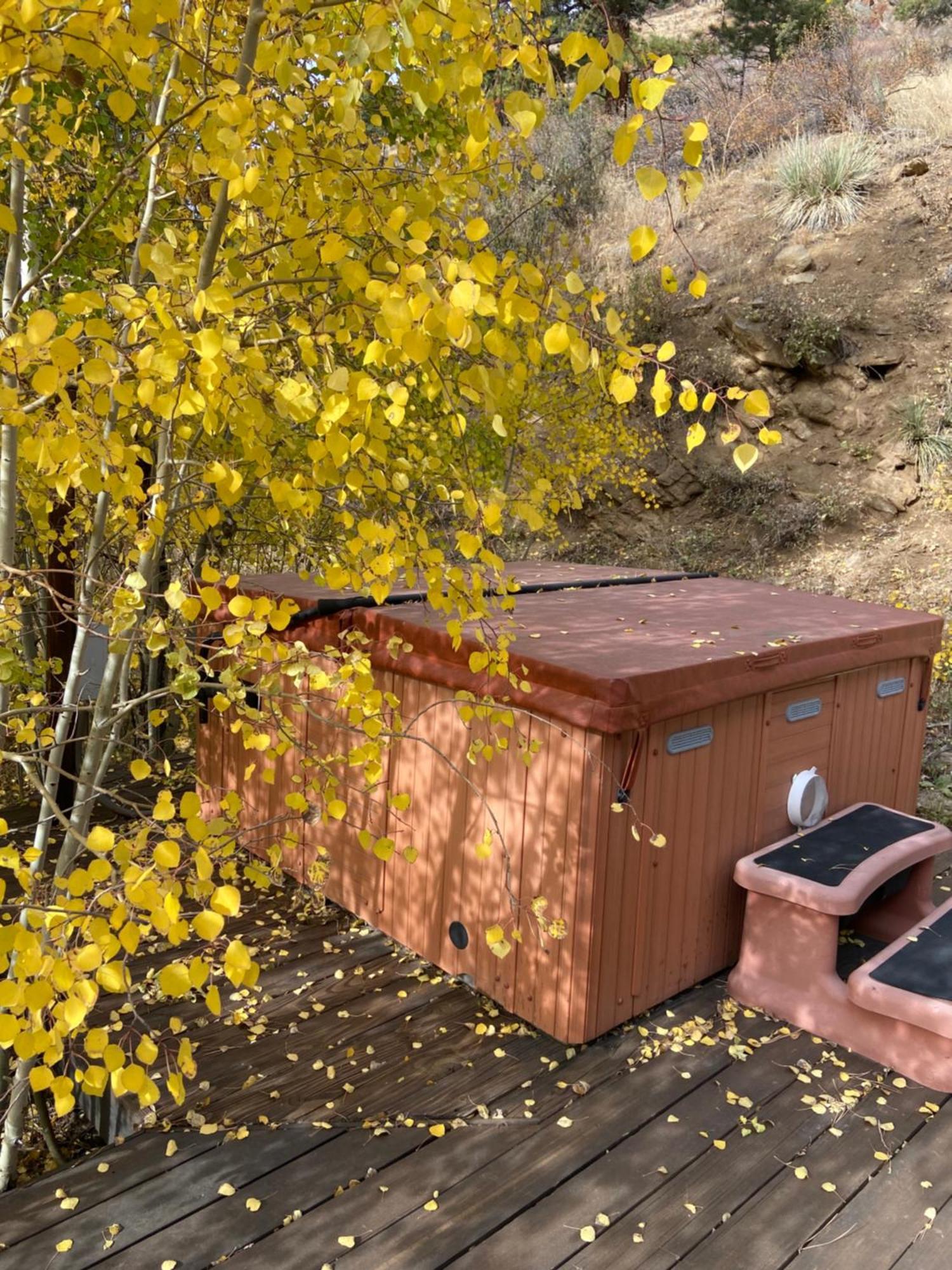 Colorado Bed & Breakfast With Beautiful Views 에버그린 외부 사진