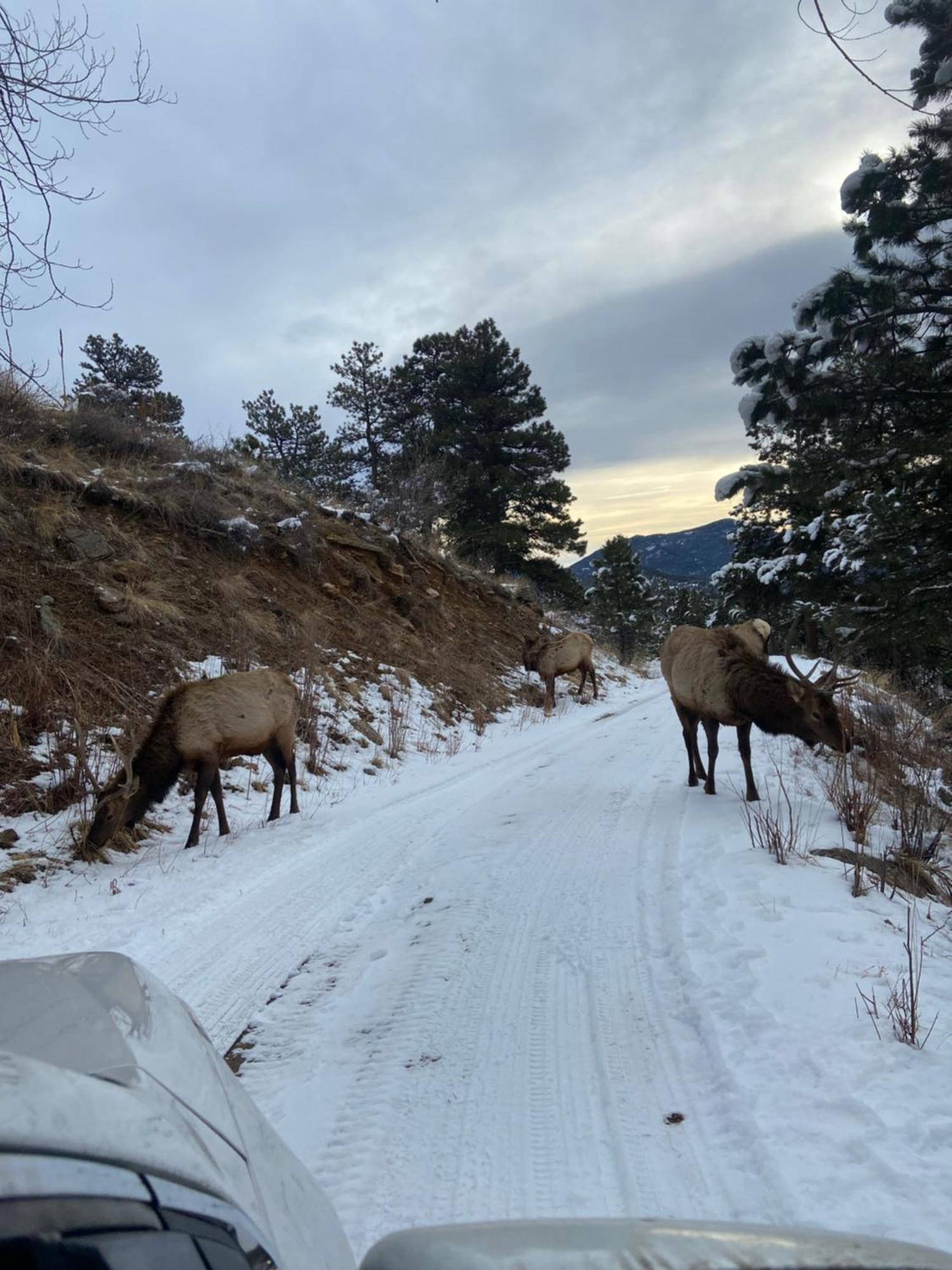 Colorado Bed & Breakfast With Beautiful Views 에버그린 외부 사진